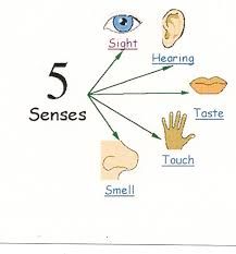 Involves one or more of your five senses.