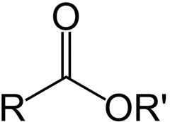 Carboxyl with extra alkyl group 
Fats are esters
