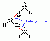 relatively strong hydrogen bonds between O and H. 