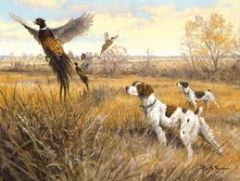 a group of animals;an assemblage.


bud's hunting dogs flushed out a bevy of quail.