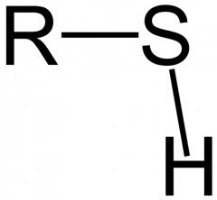 Sulfur instead of C at end of chain