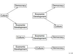 Multiple Theoretical Conceptions of Political Culture: 
-Civic Culture
-Modern vs. traditional culture
-Religion