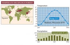 +biome is found in eastern North America, eastern Asia, and western Europe.


+temperatures fluctuate dramatically from season to season.


+precipitation is evenly distributed throughout the year.


+deciduous trees lose their leaves during...