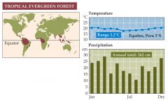 +Tropical evergreen forests are found in equatorial regions where total rainfall exceeds 250 cm annually.


+The biome is the richest on Earth in both plant and animal species.


+Overall productivity of tropical evergreen forests is the highe...