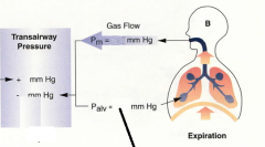 transairway pressure exhalation
Palv=