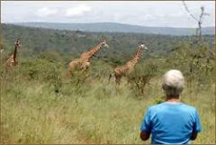 * Während (during)
Währen Er die Tieren in dem Zoo beobachtete, fand er eine hohe Giraffe
- Beobachten = to monitor, to observe
- finden = to find