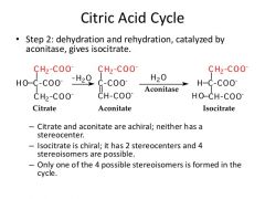 
                                                    Aconitase 
 Citrate ⇌ Isocitrate 

        (H20 Made) 
