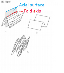 2. Type 1: “Dome-and-basin” structure, egg-carton, axial surfaces normal.  
