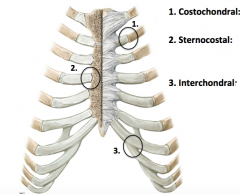 Between the ribs and the sternum 