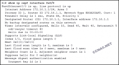 Refer to the exhibit. What kind of OSPF authentication has been configured on this interface?