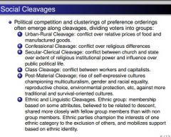 Politicial competition and clusterings of preference orderings oftern emerge among cleavages and divide voters.  individuals have attributes that place them on different locations along cleavages