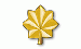 A gold oak leaf