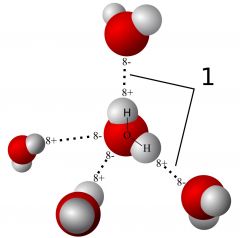 Hydrogen bond