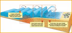 
undersea earthquake causes displacement when a hanging wall goes 
up/down, seismic wave moves through water, close to shore there's less 
water for it to move through = bigger wave
