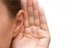 adj. related to hearing