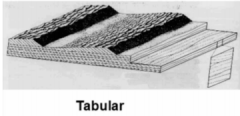 Sedimentary Structure


Tabular Cross Bedding