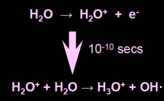 Note: OH- has one unpaired electron which makes its reactivity high