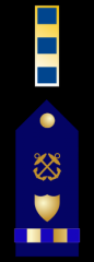 Chief Warrant Officer 2


Collar Device: ZERO ONE gold bar with ZERO THREE blue breaks.
Shoulder Insignia: 1/2-inch gold band with ZERO THREE blue breaks with a gold shield on top and a rating symbol above it on a field of blue.

 