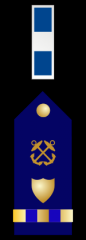 Chief Warrant Officer 3
Collar Device: ZERO ONE silver bar with ZERO TWO blue breaks.
Shoulder Insignia: 1/2-inch gold band with ZERO TWO blue breaks with a gold shield on top and a rating symbol above it on a field of blue.  