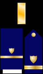Ensign - ENS
Collar Device: ZERO ONE gold bar.
Shoulder Insignia: ZERO ONE 1/2-inch gold stripe with a gold shield on a field of blue.
Lacing: same as the shoulder insignia  