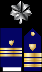 Commander - CDR
Collar Device: ZERO ONE silver oak leaf.
Shoulder Insignia: ZERO THREE 1/2-inch gold stripes with a gold shield on a field of blue. 
Lacing: Same as Shoulder Insignia