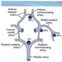 Most frequently located in anterior circle of Willis (branch points of anterior communicating artery)