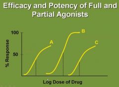 Which drug(s) is/are a full agonist and which drug(s) is/are partial agonists?