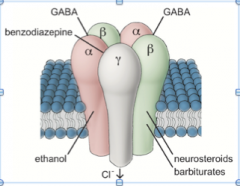 A Common GABAA receptor