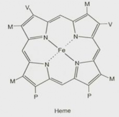 What are the functions of heme?