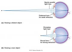 1. When an object is close to the eye it must be refracted at greater angles to converge on the retina.
2. When an object is far away from the eye it must be refracted at very low angles to converge on the retina.