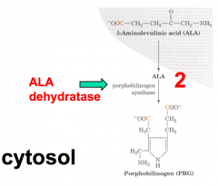 - Substrate: 2 x ALA - 5-aminolevulinate
- Enzyme: ALAD - 5-aminolevulinate dehydratase
- Cofactors: Zn2+
- Product: PBG - Porphobilinogen