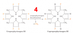 - Substrate: Uroporphyrinogen III Isomer
- Enzyme: UROD - Uroporphyrinogen Decarboxylase
- Cofactors: - 
- Product: Coprophorphyrinogen III (+ CO2 x4)
