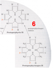 - Substrate: Protoporphyrinogen IX
- Enzyme: PPO - Protoporphyrinogen IX Oxidase
- Cofactors: - 
- Product: Protoporphyrin IX