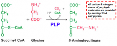 - Step 1
- Pyridoxal Phosphate (PLP) dependent enzyme
- Condensation of glycine w/ succinyl-CoA takes place while amino group of glycine is in Schiff base linkage to PLP aldehyde; CoA and glycine carboxyl are lost during condensation
