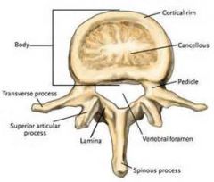 articular processes

bony part of synovial joint; contains 2 superior and 2 inferior facets for articulations with other vertebrae.