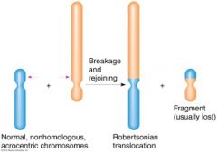 Udveksling af fragmenter mellem acrocentriske kromosomer, hvor de to korte arme brydes efterfulgt af udveksling af acentrisk og centrisk fragmenter  acentrisk og dicentriske produkter (Centromerene fusionere)