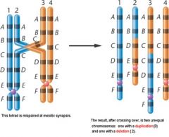 Når kromosomer under rekombination ikke bliver parret præcist resulterer det i et kromosom med duplikation og et med deletion