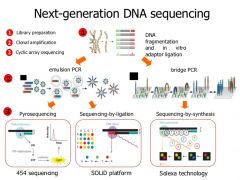 Fragmentere genomisk DNA.
Tilføjer sekventeringsadoptorer
DNA hæftes til beads eller fastgøres på en plade
PCR amplificering
Sekventering ved pyrosekventering, sequencing-by-ligation eller seqeuncing-by-synthesis