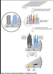 Undersøge hele genomer/store samliner af mRNA på en gang. – kvantificere forskellige transkripter og underøge genome for deletioner eller deplikationer (store)
En lille chip med DNA fastgjort.  Der tilsættes fluorescerende tags med oligonukl...
