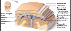 Note that the pia mater clings tightly to the surface of the brain


Note that the subarachnoid space contains the CSF