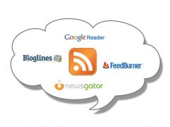 • Bloglines 
• FeedReader
• Wizz RSS Lite (Complemento para utilizar con el navegador Mozilla FireFox)
• Google Reader