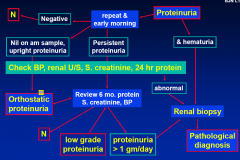 • repeat urine protein
• MSU for hematuria & casts
• urine EPG/IEPG
• serum creatinine
• 24 hr urinary protein (split in young)
• renal ultrasound
• renal biopsy if high grade, hematuria or impaired renal function