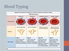 ABO Blood Typing