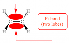 The line inbetween the two carbons represents a sigma bond