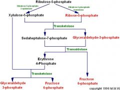 Ribulose5P → R5P
Isomerization

Ribulose5P →  X5P
Epimerization  

R5P + X5P→ S7P+ GAP by transketolase (TK)

S7P+ GAP→  E4P + F6P by Transaldolase

X5P + E4P→ GAP + F6P by transketolase 

