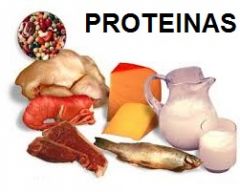 proteinas