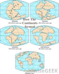 ***********the Earth's continents have been joined together and have moved away from each other at different times in the Earth's history; this theory might've been first proposed by Alfred Wegener in 1912  