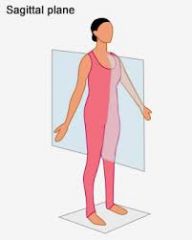 Section made parallel to the body's longitudinal axis, it divides the body into right and left parts.