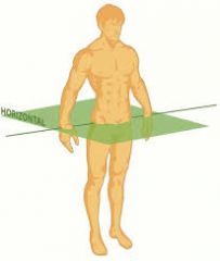 A section made perpendicular to the body's longitudinal axis; it divides the body into superior and inferior parts.