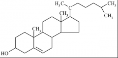 - Alkoholgruppen (OH) på kolesterol er hydrofilt, mens resten af molekylet er hydrofobt. 
- De 4 ringe er typisk alle for steorider, mens de grupper der sidder på ringene kan være forskellige. 
- De øvrige steorider dannes i det sER.